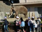 ２年生　金沢動物園遠足