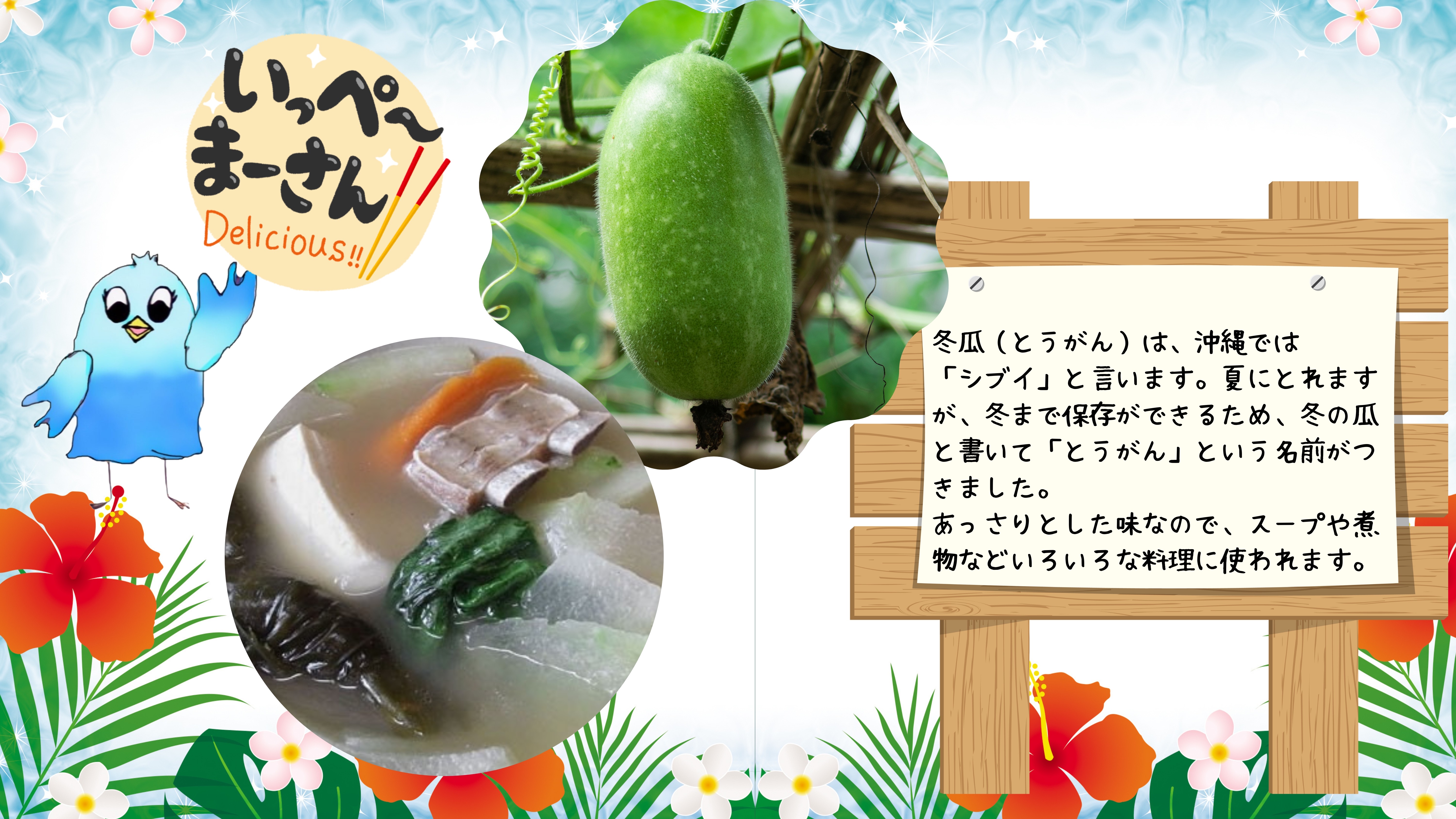 冬瓜（とうがん）は、沖縄では 「シブイ」と言います。夏にとれますが、冬まで保存ができるため、冬の瓜と書いて「とうがん」という名前がつきました。　 あっさりとした味なので、スープや煮物などいろいろな料理に使われます。