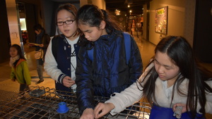 6年 国会見学