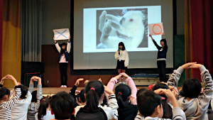 生き物集会