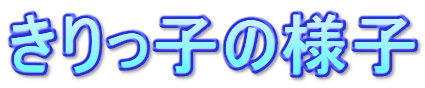q̗lq