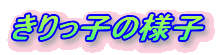 q̗lq