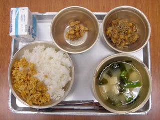 2005N513̋H