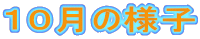 �P�O���̗l�q