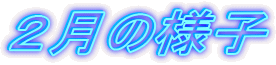 �Q���̗l�q