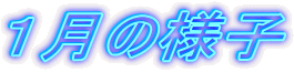 �P���̗l�q