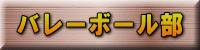 バレーボール部 