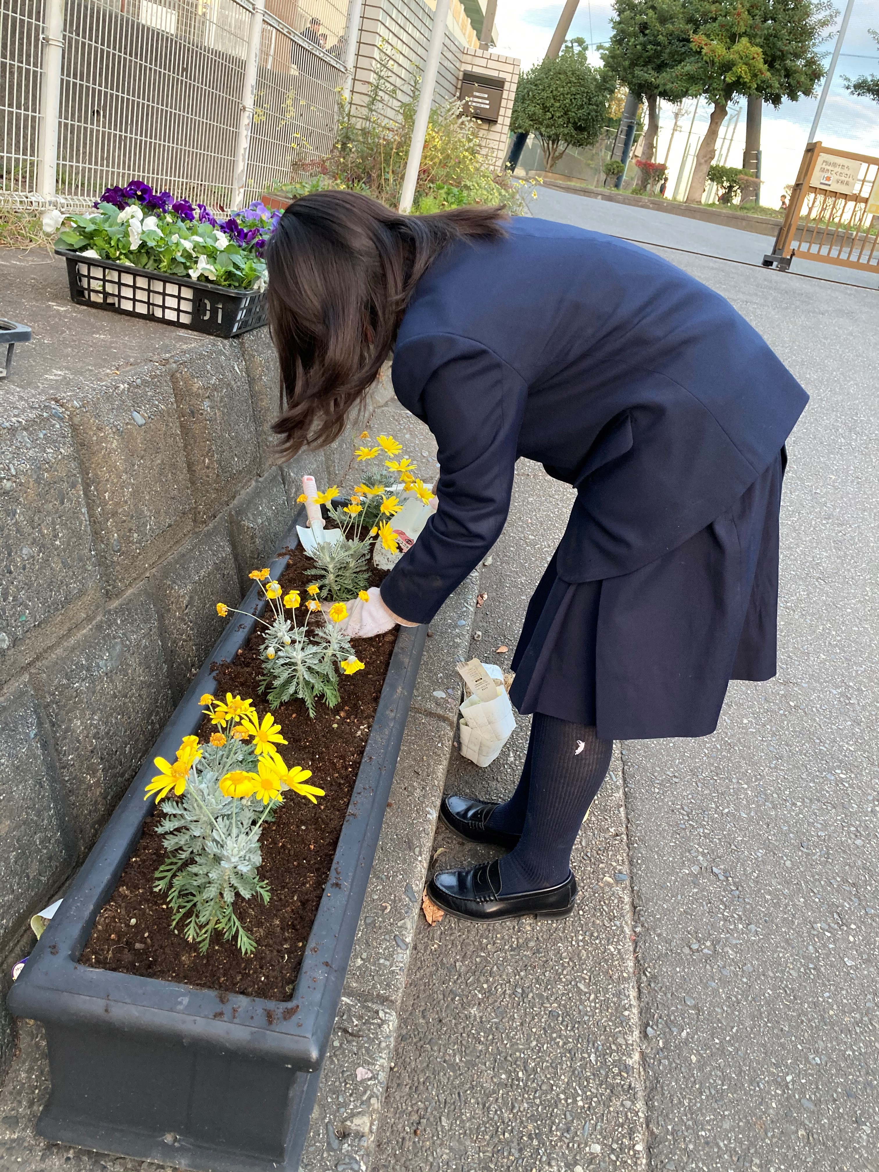 ESD委員　緑化活動　球根植え