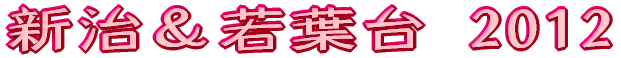 若葉台特別支援学校(仮称) 情報