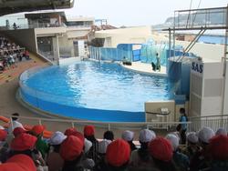 2年生遠足　新江ノ島水族館