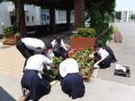 花植え