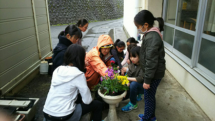 植栽の様子