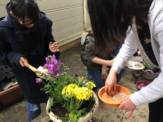 植栽の様子