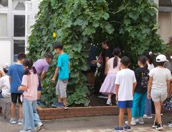 子どもたちがヘチマの茎葉でできた空間に入っている