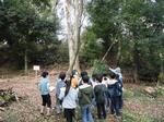 4年　総合　茅ケ崎公園