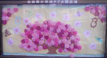 桜の木欲しい方いますか？