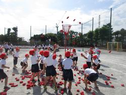 合同玉入れ 藤が丘小学校