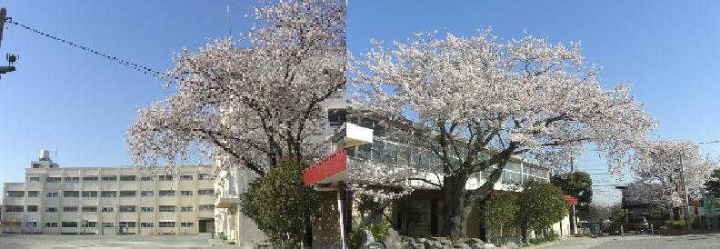 深谷小学校全景