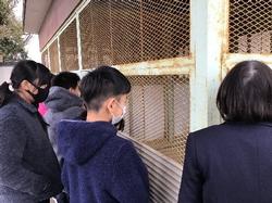 飼育委員会 飼育の仕方を獣医さんから教わりました 深谷小学校 飼育委員会 飼育の仕方を獣医さんから教わりました 深谷小学校