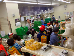 ６月１２日(水)　サミット見学