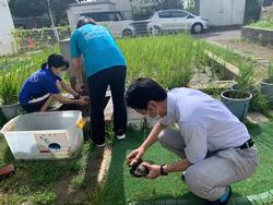 夏の職員作業