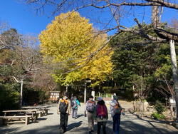 ６年生鎌倉見学