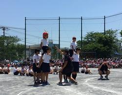 小学校最後のスポフェス ６年生 東希望が丘小学校