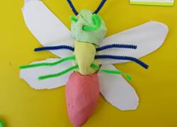 チョウの体のつくりは ３年生 東希望が丘小学校