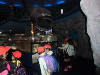 水族館