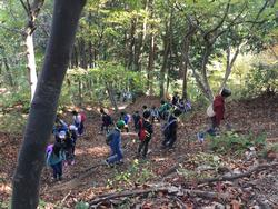 登山の様子