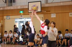 女子バスケットボール