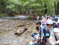 湯滝の水は温かい？冷たい？確認しています。