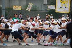 中学年　とびつきつなひき