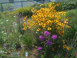 花壇には彩り鮮やかな花が咲いていました。