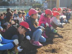 立派な野菜を前に、「頑張って抜くぞー！」