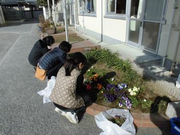 花ボラ