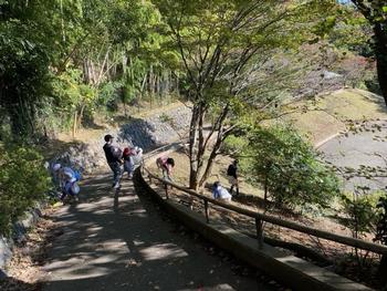 鯛ヶ崎公園