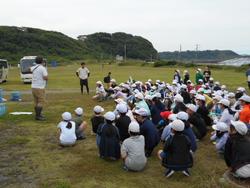 磯の生物観察