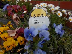花１