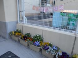 花５