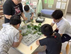 枝豆大作戦の様子③