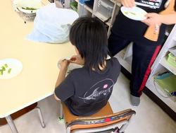 枝豆大作戦の様子④