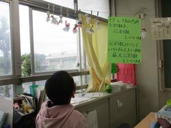 教室のてるてる坊主②