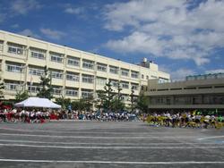 ひよりんピック③