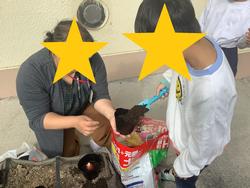 球根を植えている様子