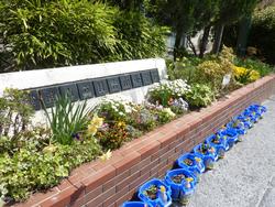 花壇ボランティア