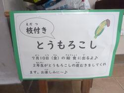 枝付きトウモロコシ