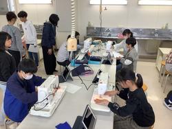 家庭科