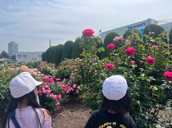 バラ園