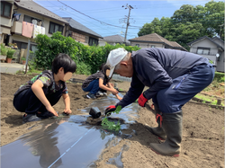 苗植え